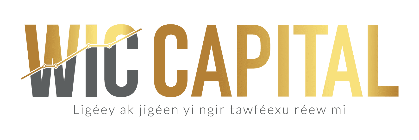 Logo de WIC Capital
